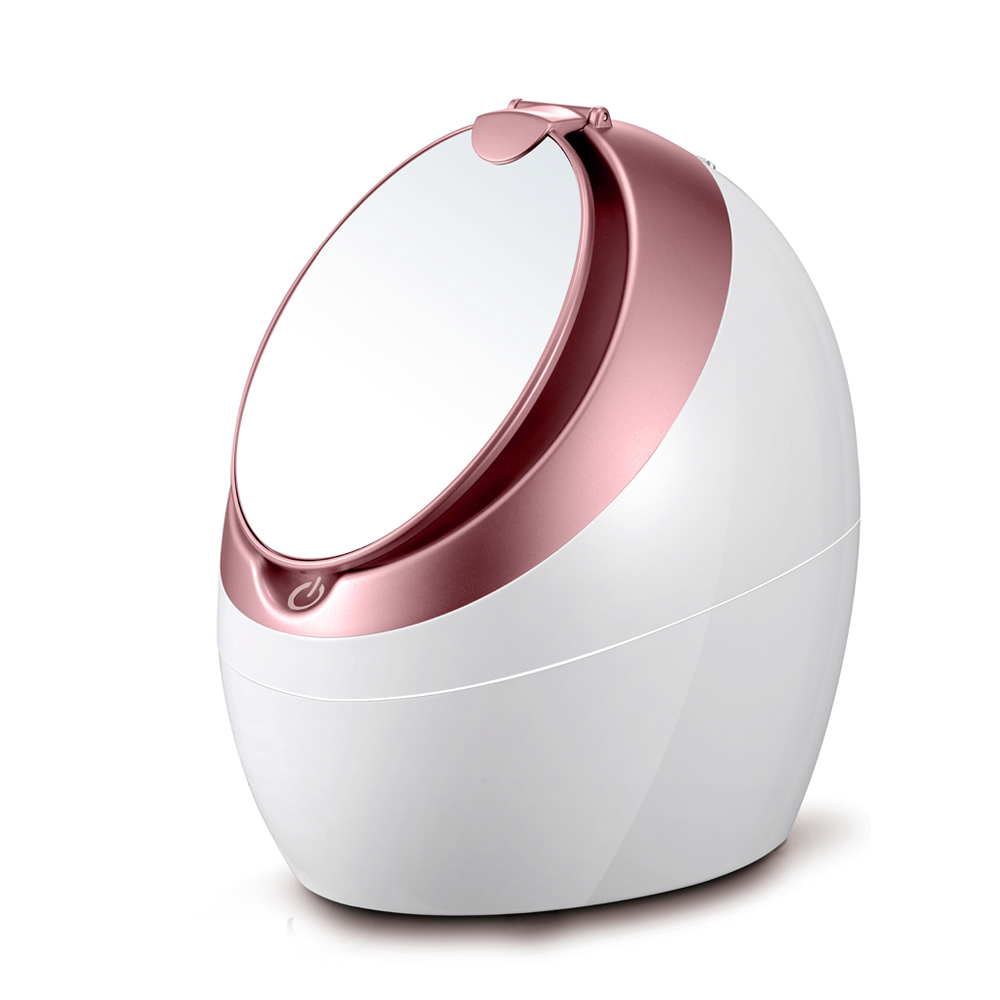 Facial steamer