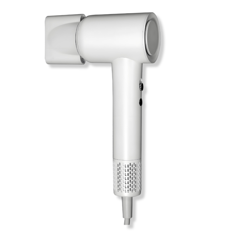 High-speed Hair Dryer 6280