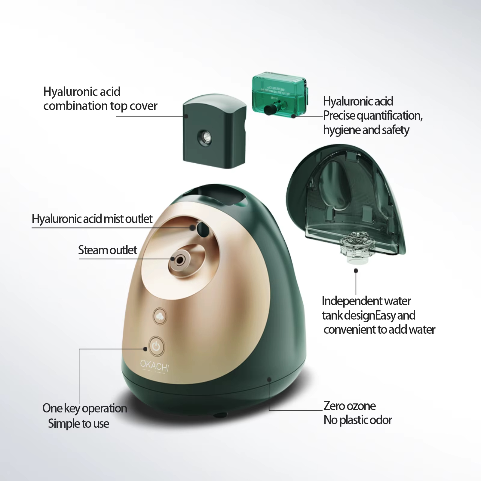 Hot & Cold Face Steamer
