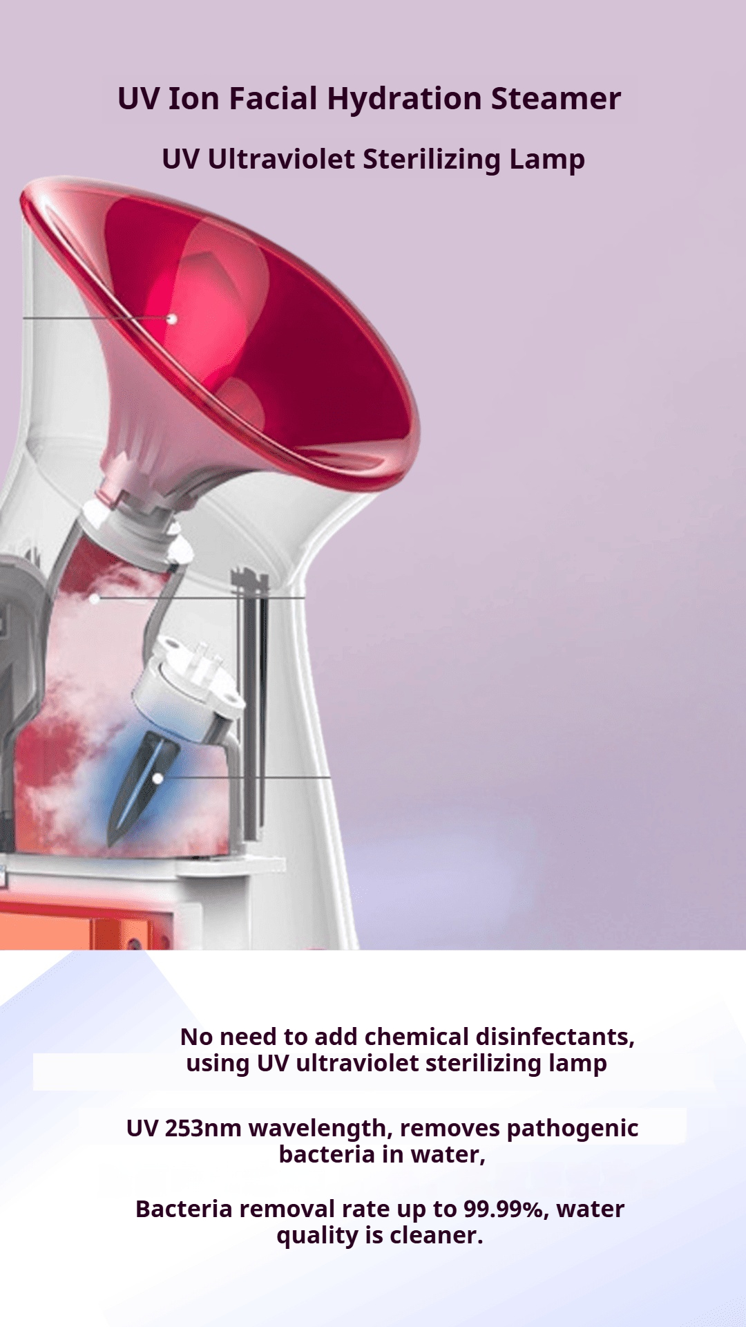 UV Ion Facial Hydrating Steamer