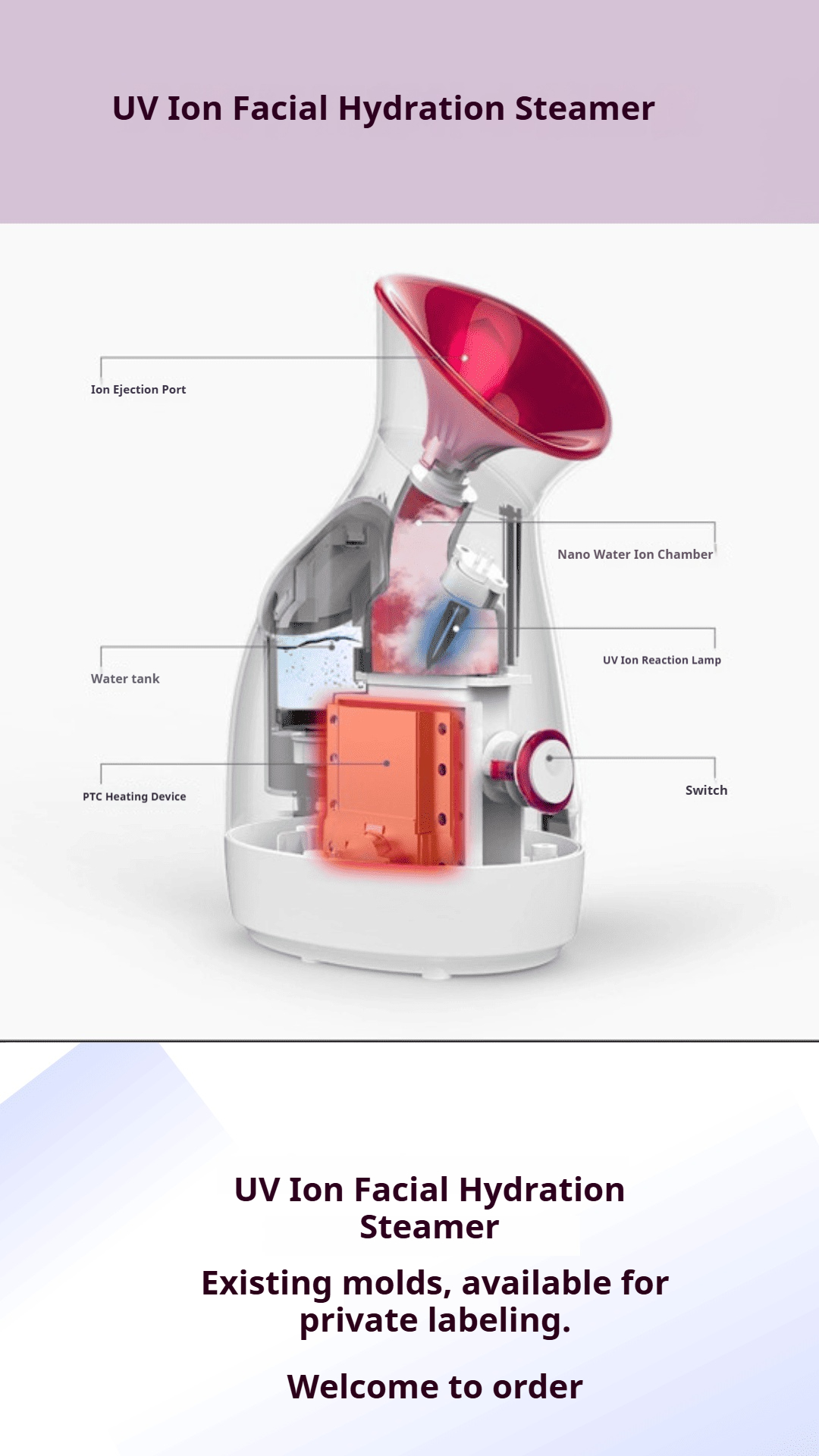 UV Ion Facial Hydrating Steamer