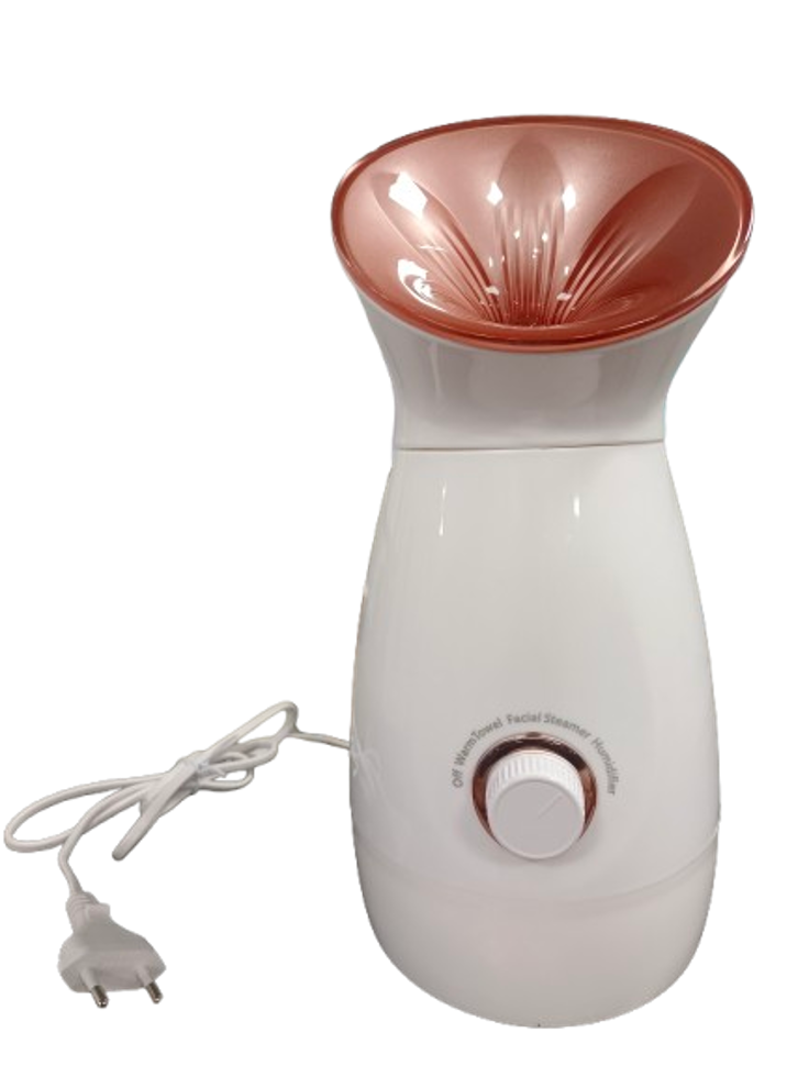 Fruit and vegetable small molecule hydrating facial steamer