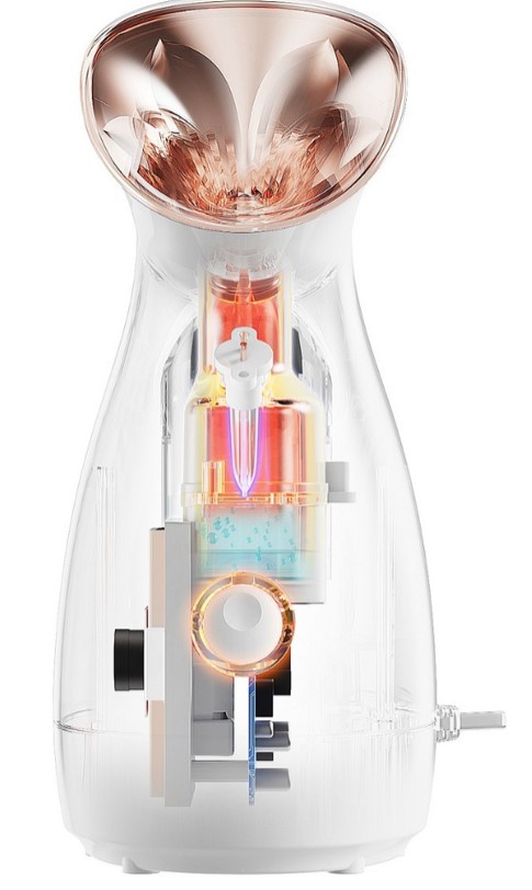 Fruit and vegetable small molecule hydrating facial steamer