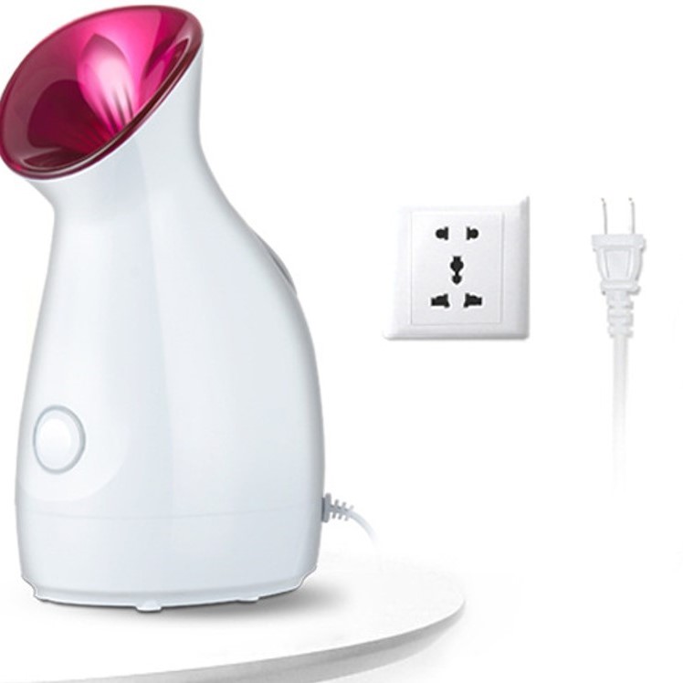 UV Ion Facial Hydrating Steamer