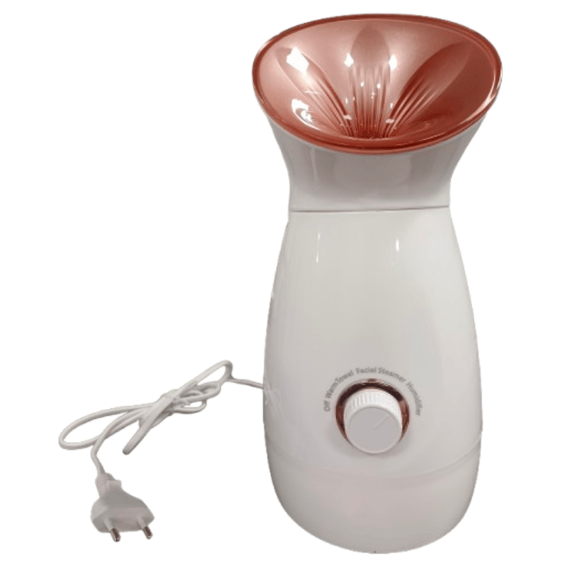 Fruit and vegetable small molecule hydrating facial steamer