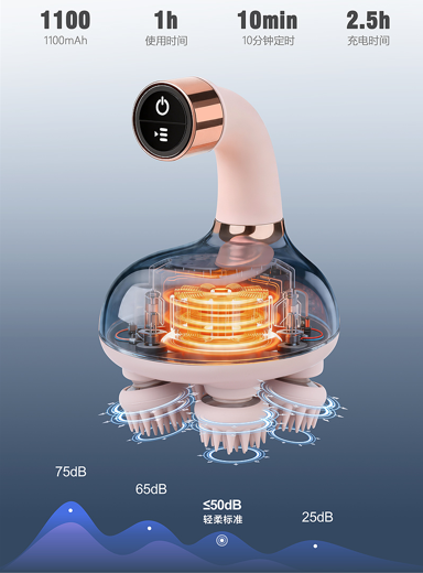 OG-10E Head Massager | EMS Microcurrent | OEM & ODM Supported 